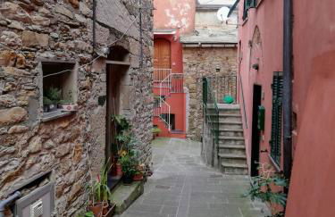 La notte sull'isola - Montaretto - tra il cielo e il mare - Foto 80