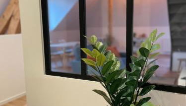 Les nuits du Lion - Foto 3