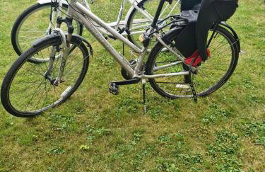 Dom Wakacyjny JM - Foto 42