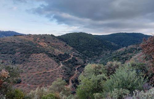 El Paraíso Perdido - Foto 52