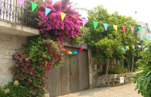 Casa das Magnólias de Igarei - Foto 2