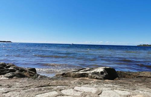 App Palčić K - Photo 6