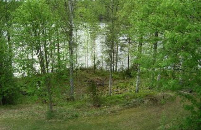 Koivurinne - Foto 16