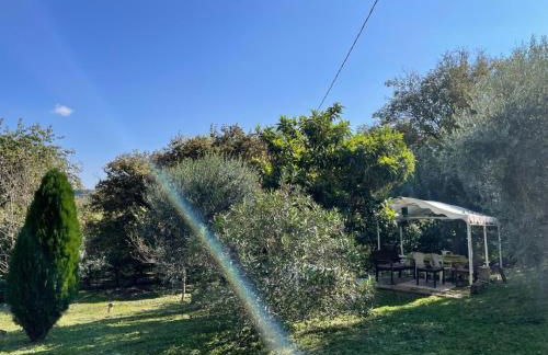 L'Albero di Gamelì Apartments - Foto 41