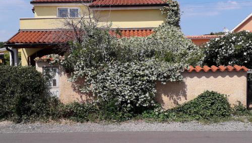 Apartment Samanta - Foto 2