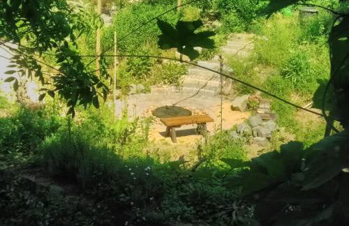 Gästewohnung im Naturgarten Nähe Steinhuder Meer - Foto 10