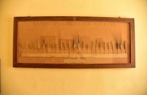 Antico Feudo San Giorgio - Foto 36