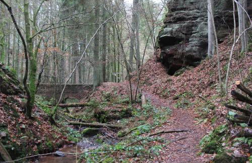 Gästehaus Herrenmühle - Foto 21