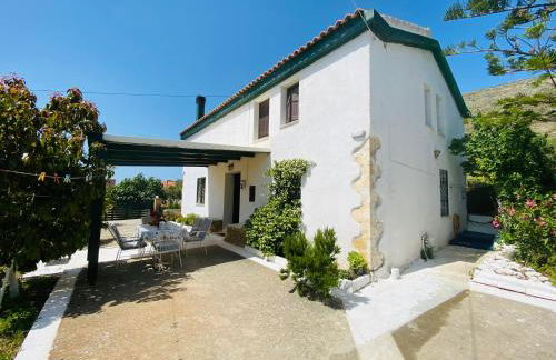 The Green Home - Foto 12