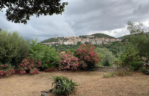 Sartene - Corse du sud ouest - Foto 5