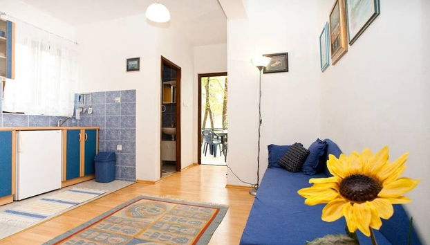 Miro - 300 m From sea - A1 Plavi - Foto 4, Sala de estar