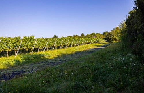 Nettes kleines Apartment mit Stellplatz - Foto 23