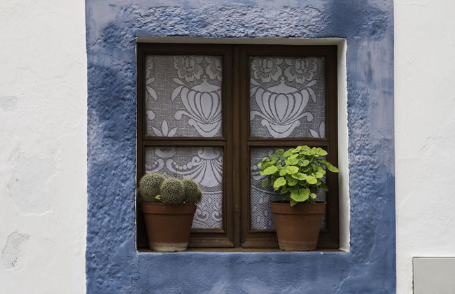 Casas de Romaria de Brotas - Foto 33