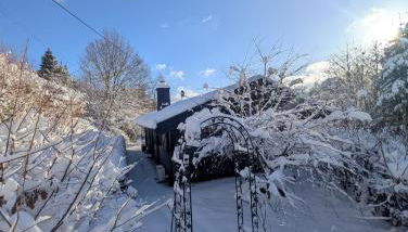 Tilli's Haus - Foto 2