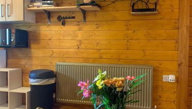 Cherry Cabin - Little Log Cabin in Wales - Foto 5