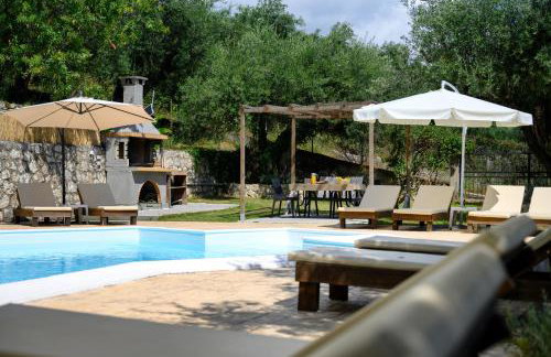 Olive Grove Poolside Apartments - Foto 14