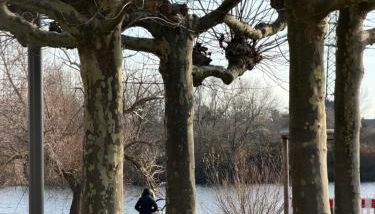 Apartment mit Mainblick 15 Min vom FFM-Airport - Foto 2