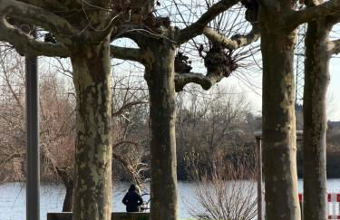 Apartment mit Mainblick 15 Min vom FFM-Airport - Foto 2