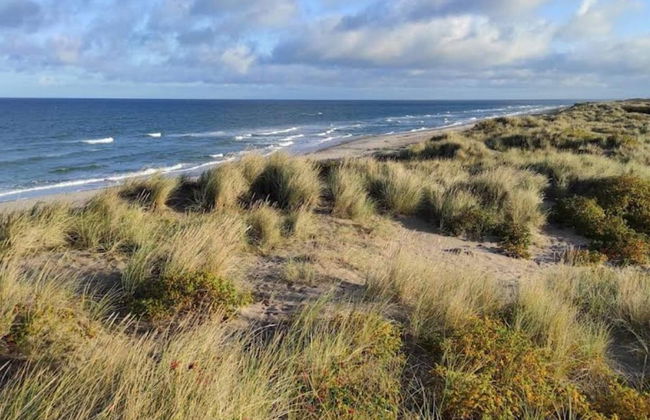 Luxury Villa With Pool - By Traum Ferienwohnungen - Foto 21