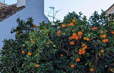 Marbella - Playa Alicate 2br holiday apartment - Foto 41