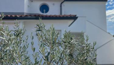 House Sebenico - Foto 3