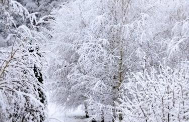 Kuća za odmor Sichelberg - Foto 29