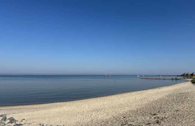 5 bedroom House in Stavoren with garden and terrace - Photo 29