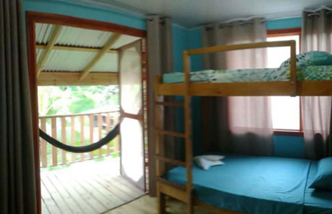 Drake Lapas - Foto 5