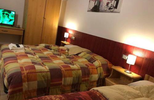 Agriturismo il Podere Vedelago con San Bernardo, Alpaca e una Pentola di cose da scoprire - Foto 7