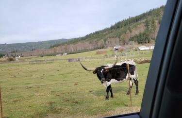 A Relaxing Getaway-A Backwoods Cabin SolDuc River - Foto 15