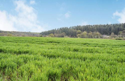 Cefn Gelli - Foto 43