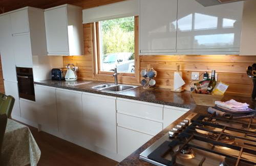 Fern Lodge - Luxury Lodge with steamroom in Perthshire - Photo 15