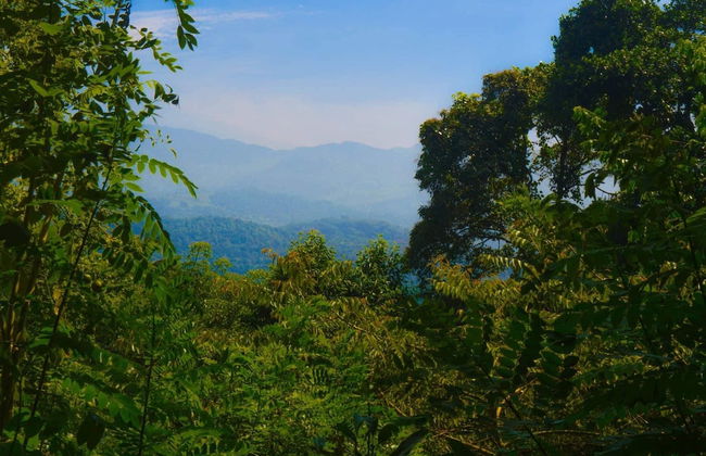 Sommersheild Cottage - Photo 17