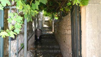 Vintage house Kolocep - Photo 5