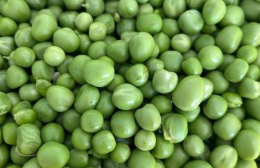 Agriturismo Villa Gaia - Foto 63