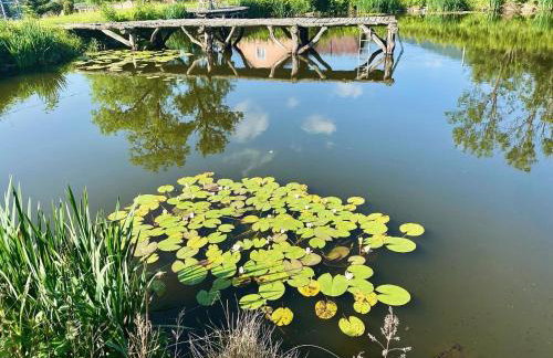 Agroturystyka Leszczynowy Dworek - Foto 3