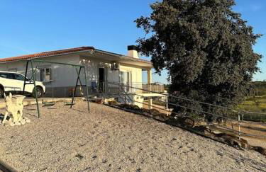 Reis House - Foto 51