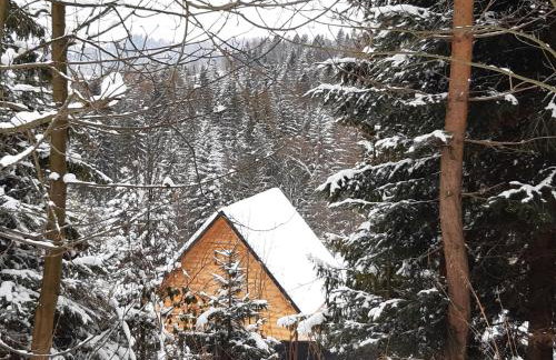 Villa Róża - Foto 35