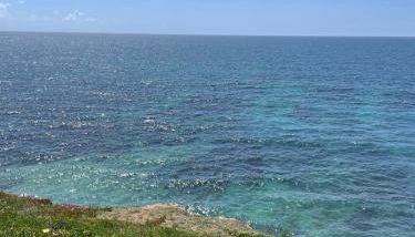 Dezassete - Ericeira - Foto 2