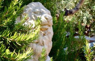 Holiday Home Babič - Foto 9