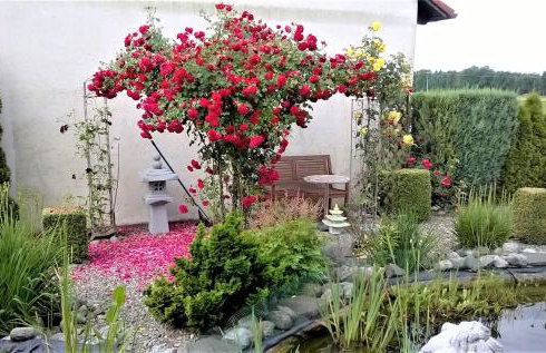 Ferienwohnung beim Ried - Photo 13