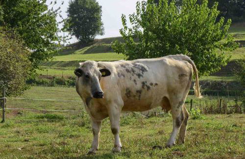 Agriturismo Brusignone - Foto 6