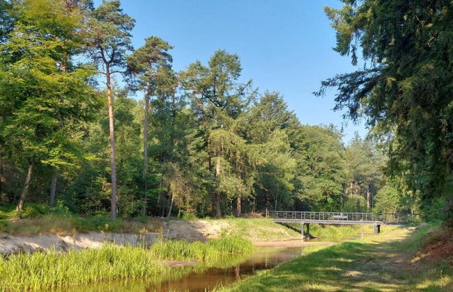 Holiday Home in Haaksbergen by Lake - Photo 37