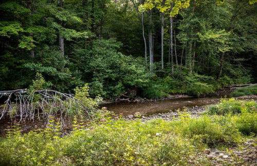 Cozy Luxury Cabin w Hot Tub, Fire Pit, King Bed - Foto 33