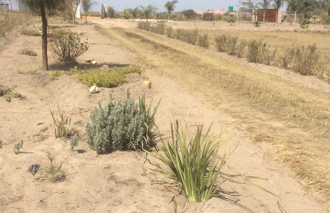 Nhaka Savaal Cottages - Foto 14