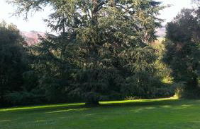 Fattoria Michela - Photo 26