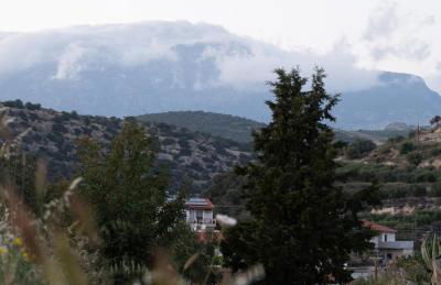 Carob Villa - Photo 61