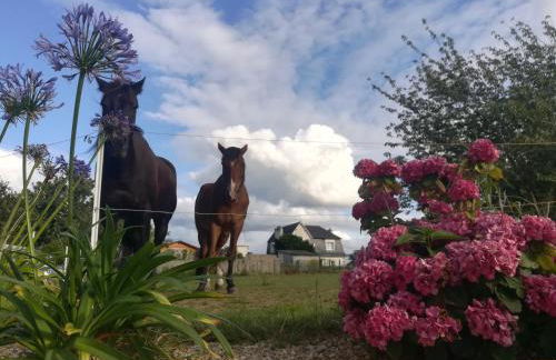 L'HERMINE - pour 2 personnes, proche de la plage - Foto 9