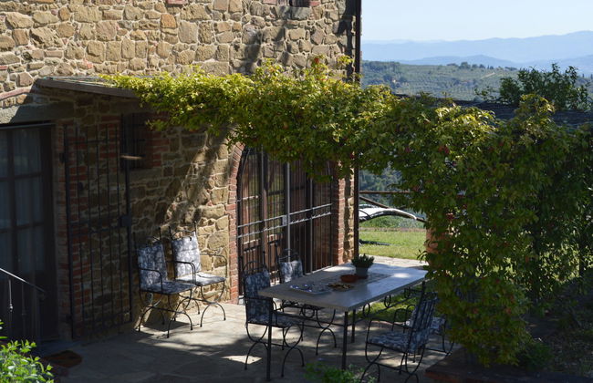 A spasso tra gli ulivi - Foto 5