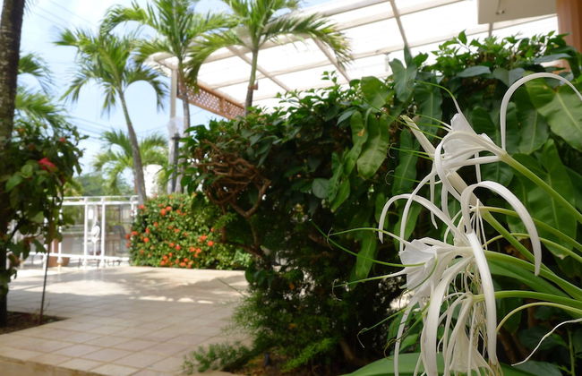 Meridiana Residence - Foto 47